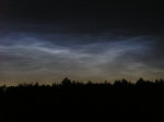 nlc 2__p7147977.jpg